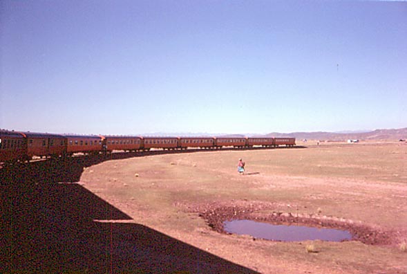 Treno Andino Puno Cusco1