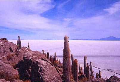 Bolivia-Isla-Pescatore-1-dia-2003.jpg